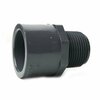 Thrifco Plumbing 2 Inch Slip x Threaded PVC Male Adapter SCH 80 8213196